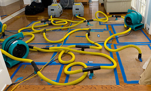 Professional Water Extraction technician working in Chelmsford, MA